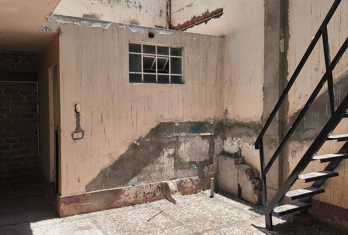 WhatsApp Image 2026-02-14 at 12.14.47 (2) copia