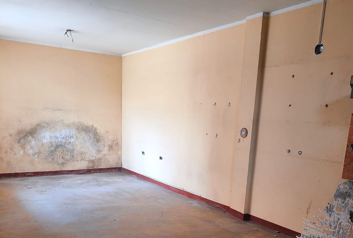 WhatsApp Image 2026-02-14 at 12.20.43 (1) copia