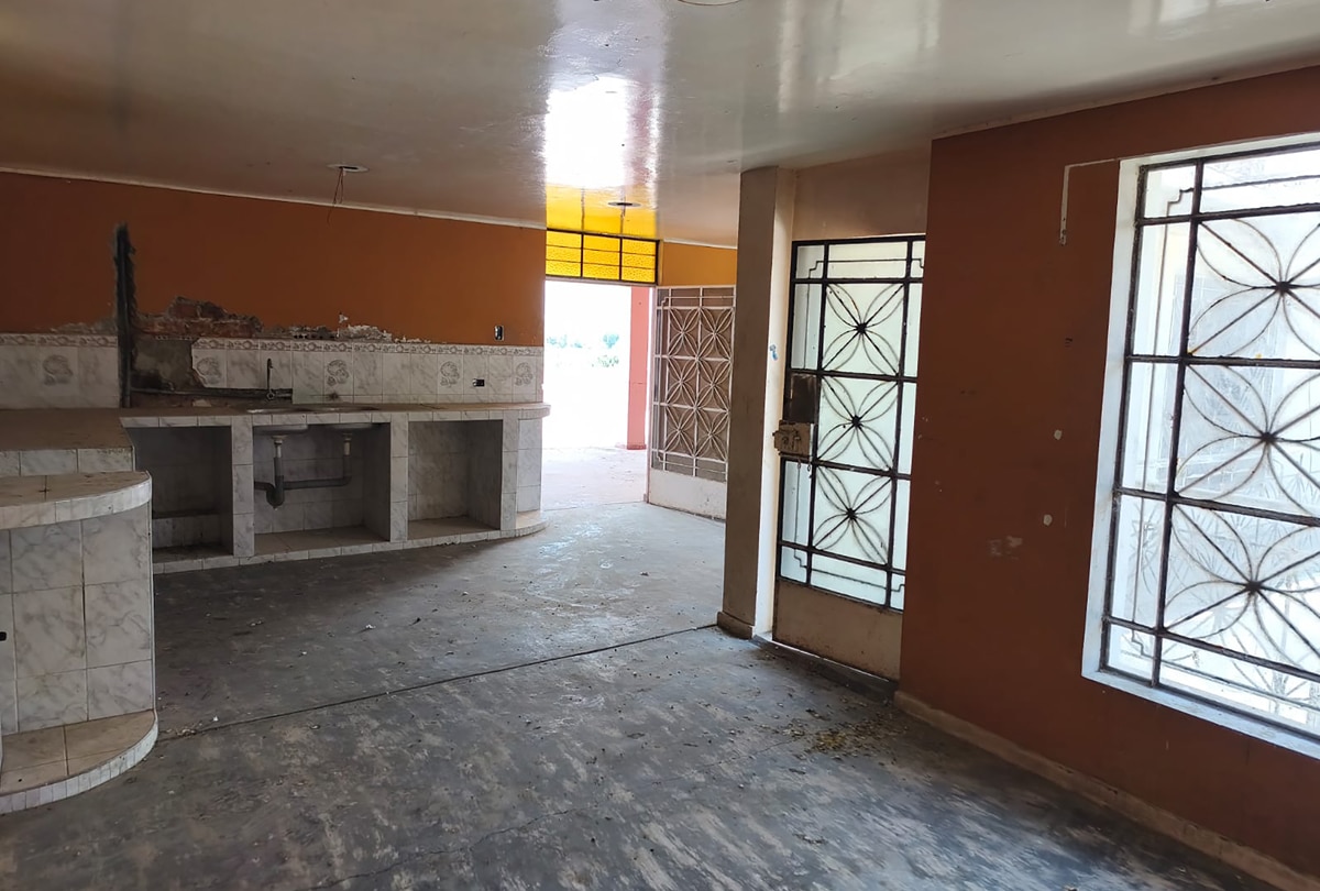 WhatsApp Image 2026-02-14 at 12.28.01 copia