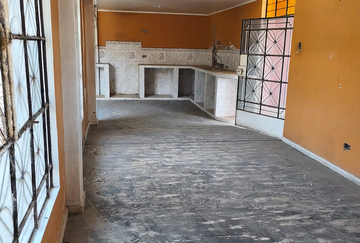 WhatsApp Image 2026-02-14 at 12.28.04 (2) copia