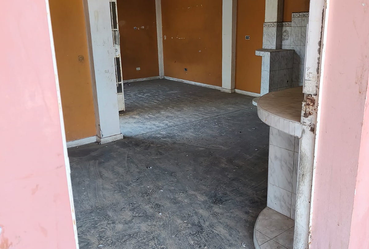 WhatsApp Image 2026-02-14 at 12.28.05 copia